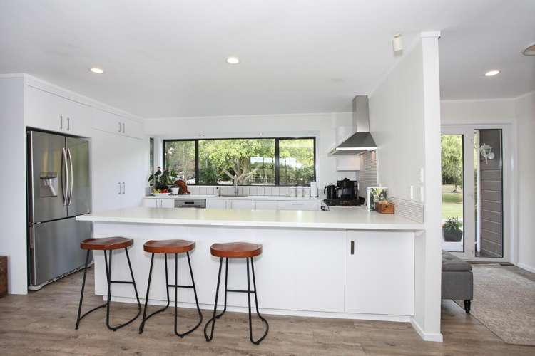 455b State Highway 1 Bulls_6