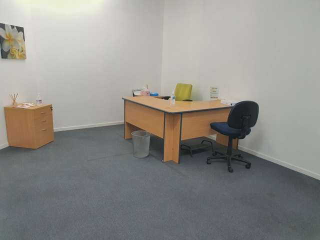 17 Carlyle Street Napier South_4