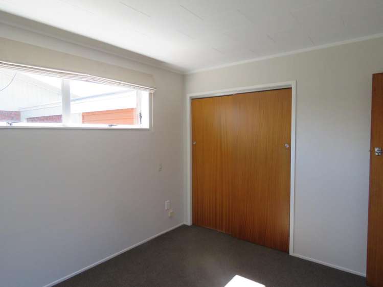 19b Norman Street Vogeltown_8