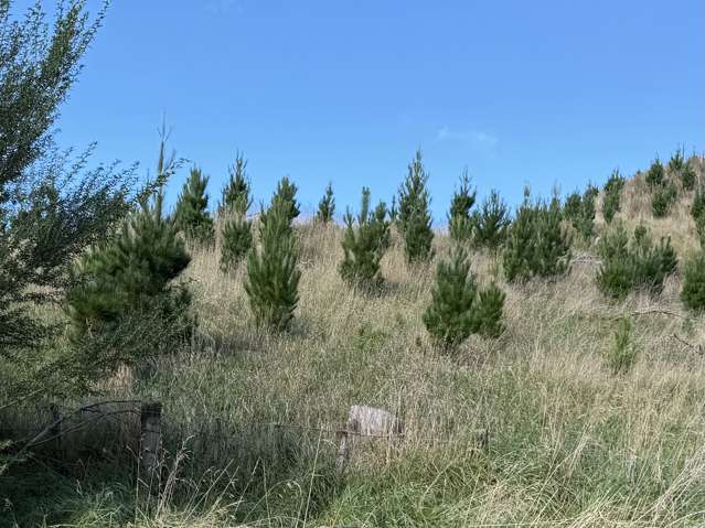 300 Ngapaeruru Road Dannevirke_1