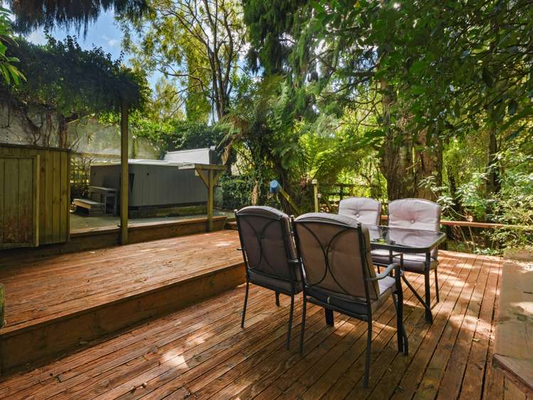 99c Ross Road Whakamarama_16