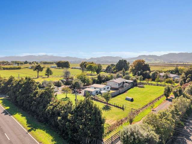 161 Hauraki Rd Orongo_1