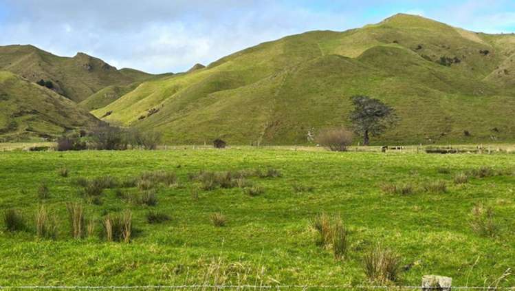 Mangaraupiu Road Eketahuna_12