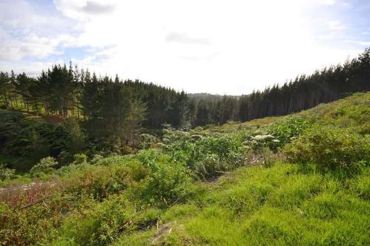 128c Montrose Road Kerikeri_5