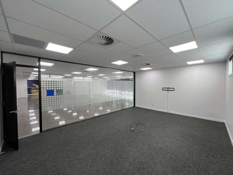 4 Murdoch Road Grey Lynn_17