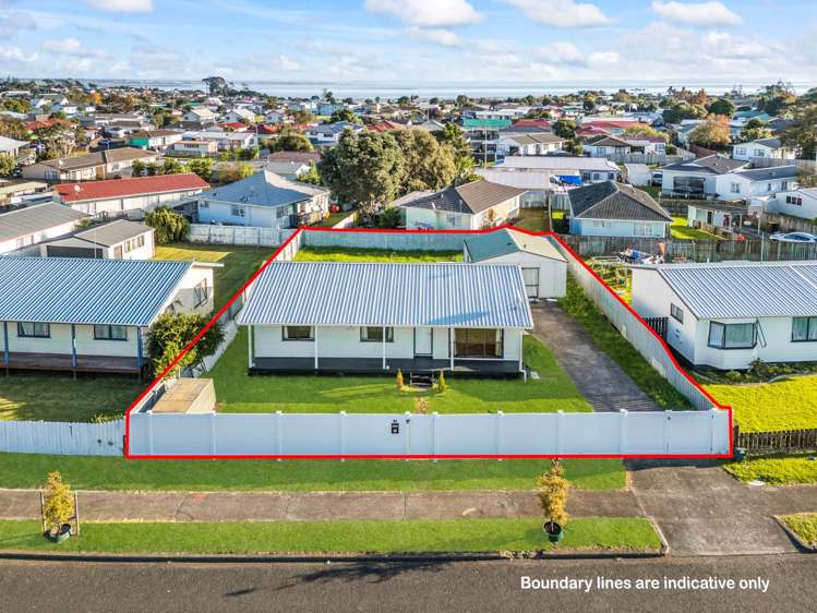 84 Maplesden Drive Clendon Park_10
