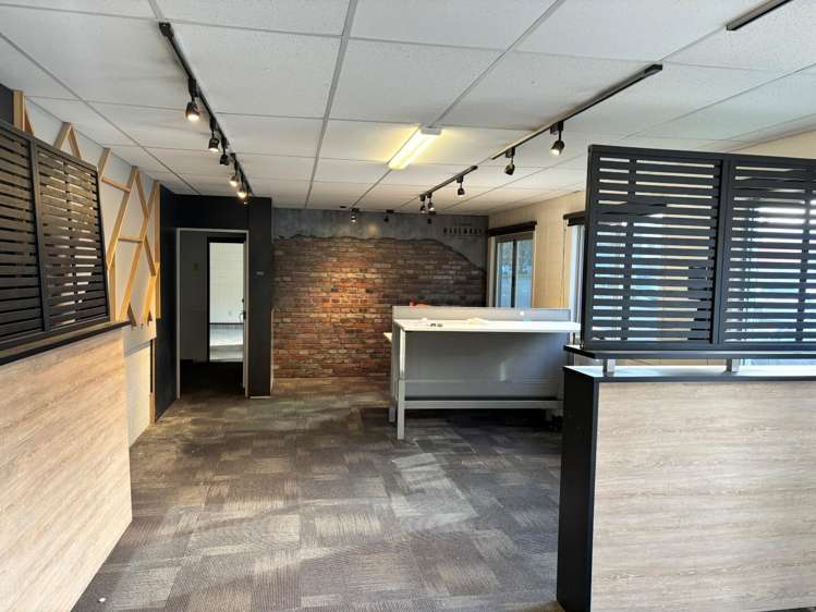 102 Birch Avenue Judea_3