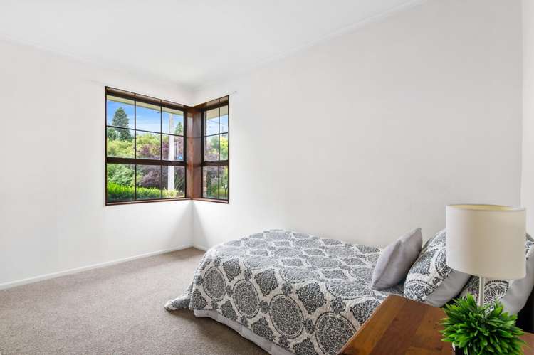 9 Nikau Street Springfield_10