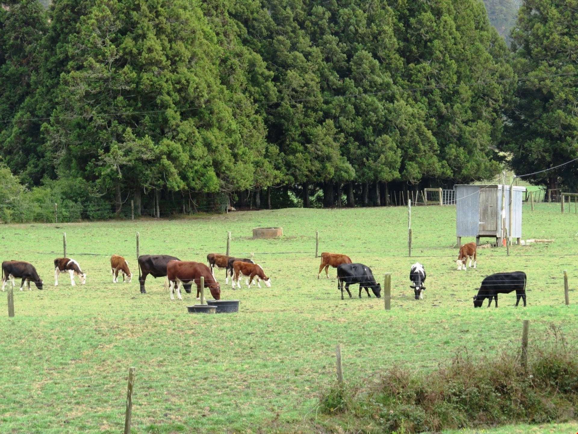 16 Mclennan Road Whakapara_0