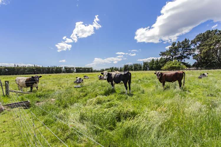 193 Bentleys Road Hawarden_14