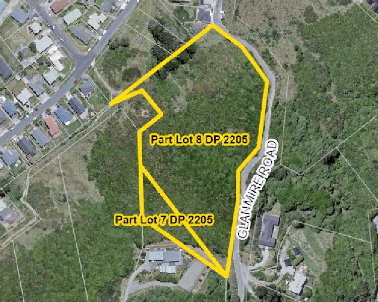166 Glanmire Road_1