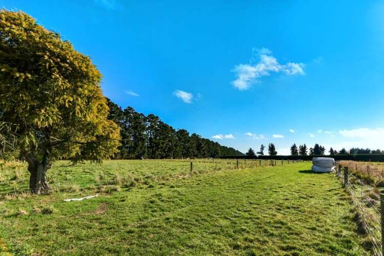 395 Courtenay Road Darfield_17