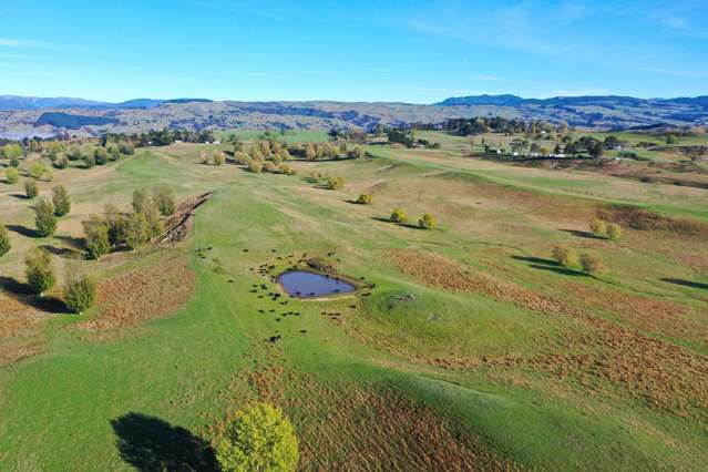 179 Otamauri Road Otamauri_4