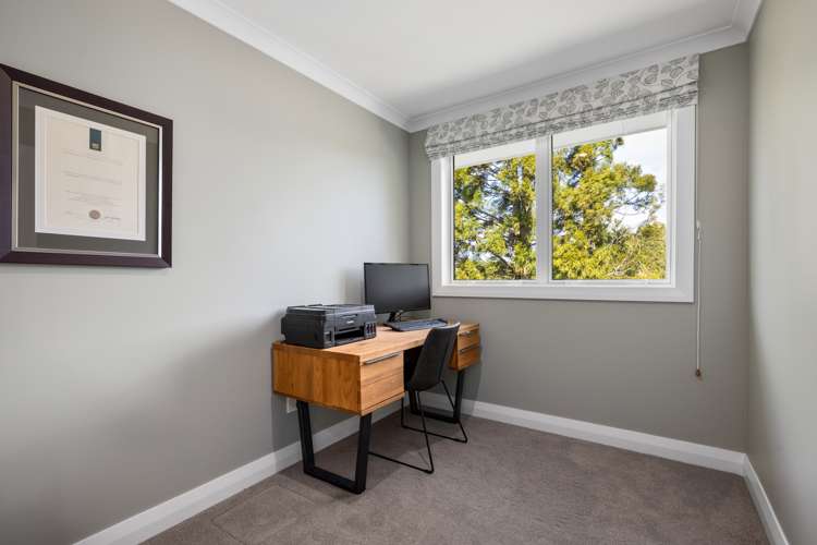 785 Whakamarama Road Whakamarama_22