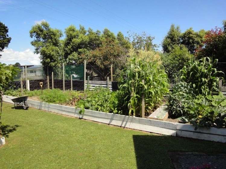 81454 State Highway 2 Pahiatua_17