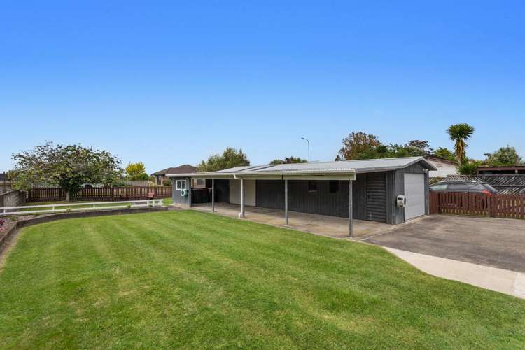 65 College Road Edgecumbe_10