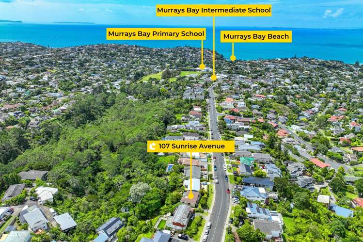 107 Sunrise Avenue Murrays Bay_6