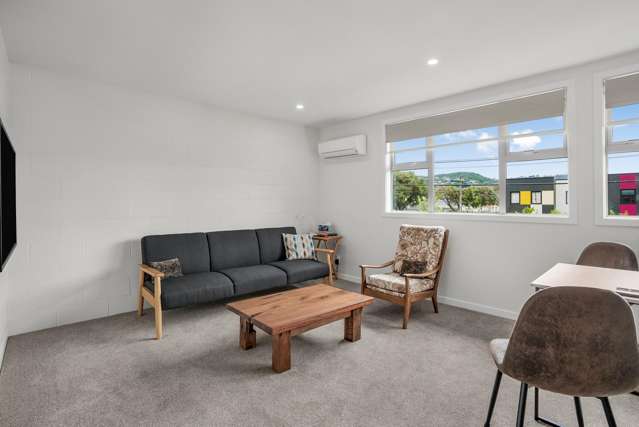 40E Cuba Street Petone_3