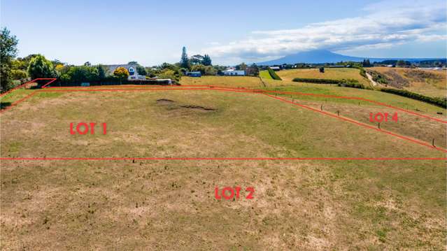 0n Douglas Street Sections Hawera_3