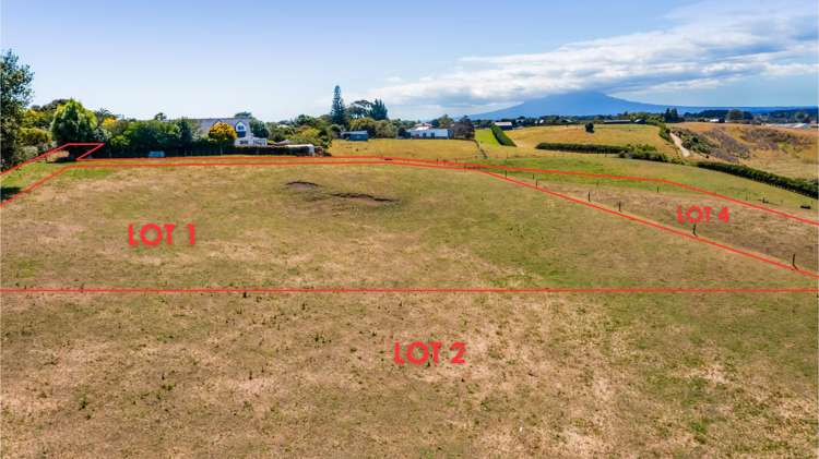 0n Douglas Street Sections Hawera_3