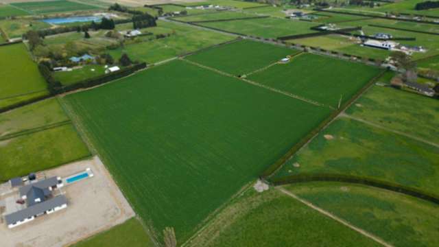 955 Springs Road Prebbleton_3