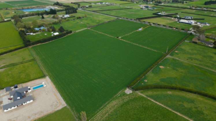 955 Springs Road Prebbleton_3