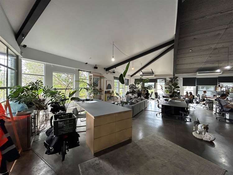 21 Scanlan Street Grey Lynn_8