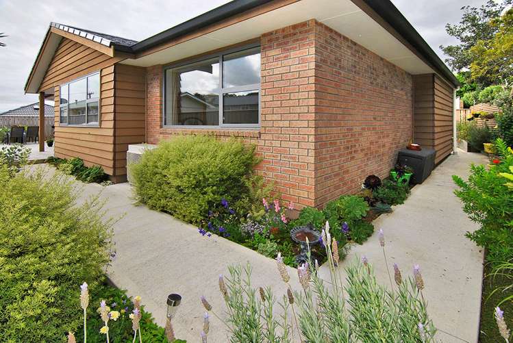 11a Clifford Road Johnsonville_7