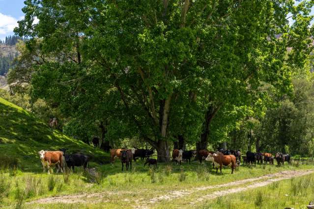 281 Tadmor Valley Road Tapawera_1