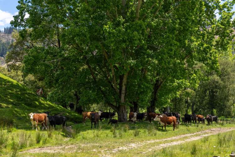 281 Tadmor Valley Road Tapawera_23