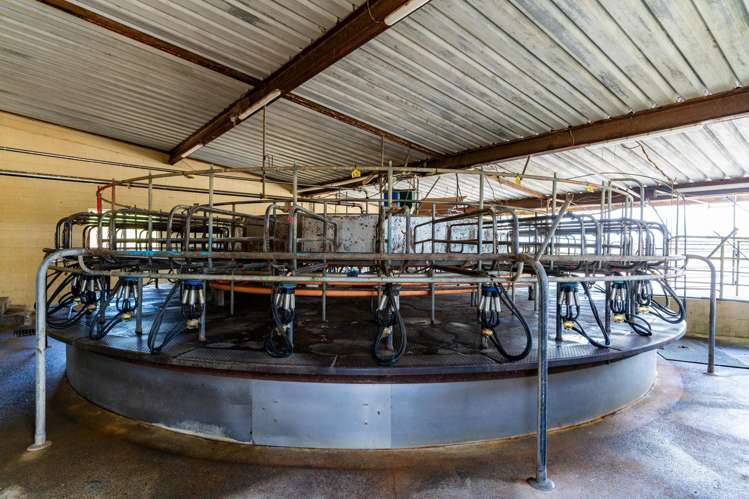 Mangakahia Road Titoki_6