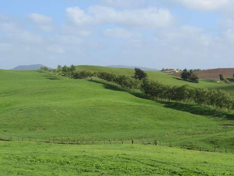 114 Pukekapia Road Ruawaro_13