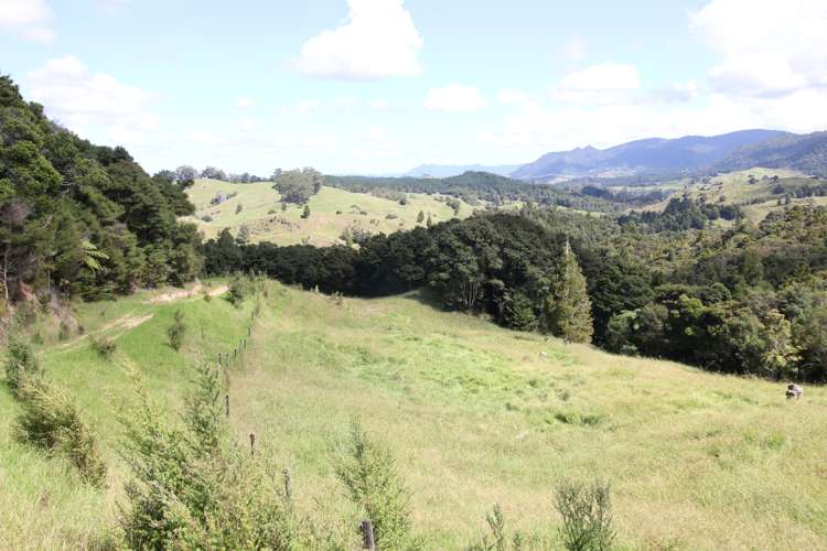 109 Paponga Road Broadwood_15