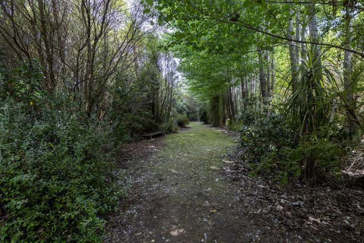 174 Odwyers Road Rapaura_21