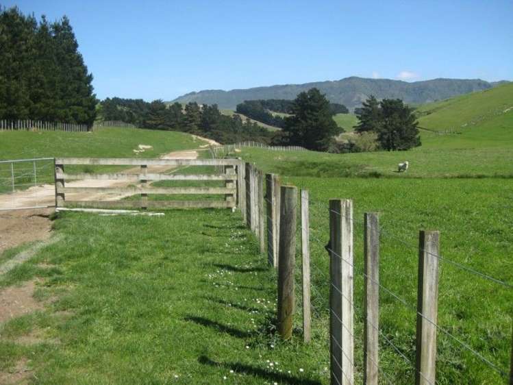 858 Oporae Road Waione_5