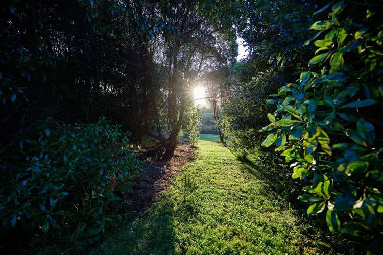 3 Ingles Drive Kaikoura_63