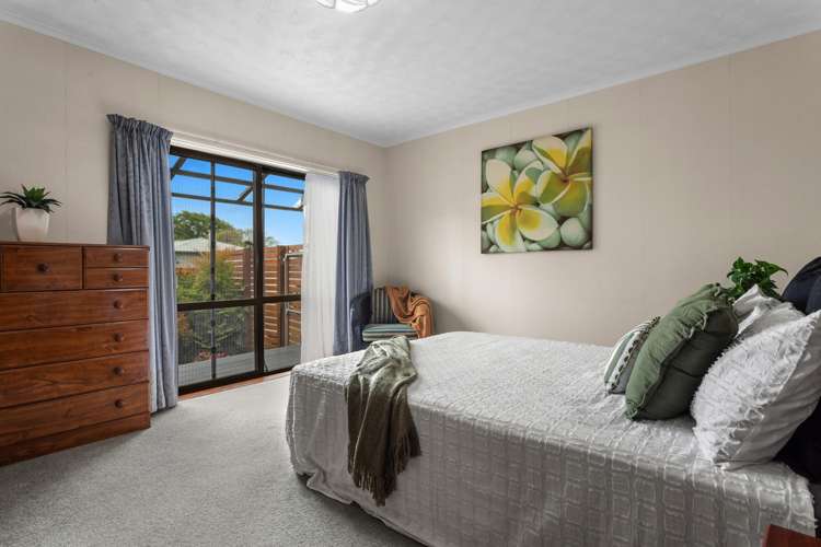 123 College Road Edgecumbe_8