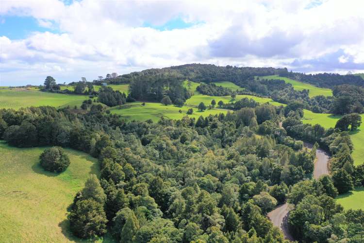 Lot 1 Katui Road Dargaville Surrounds_13