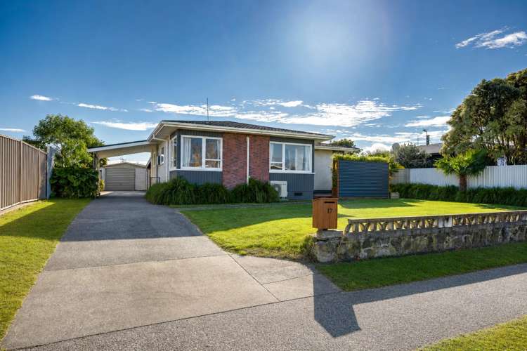 17 Rochester Street Tamatea_13