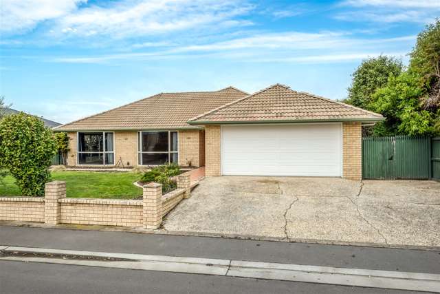 11 Ti Rakau Drive Woolston_1