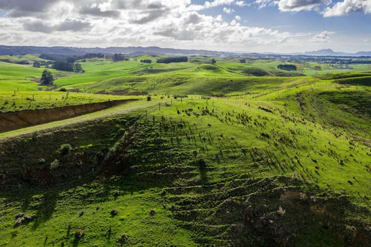 North Camp Road Waipu_11