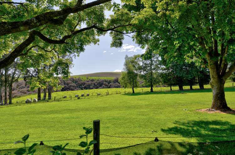 129 Mataura Island Fortrose Road Wyndham Surrounds_17