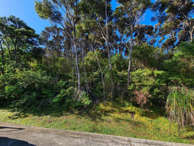624 Wyuna Bay Road Coromandel_12