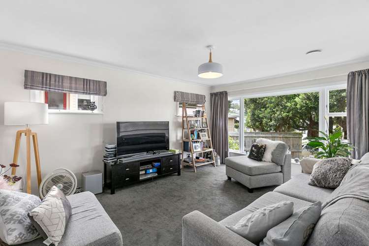 113 Miramar North Road Miramar_5