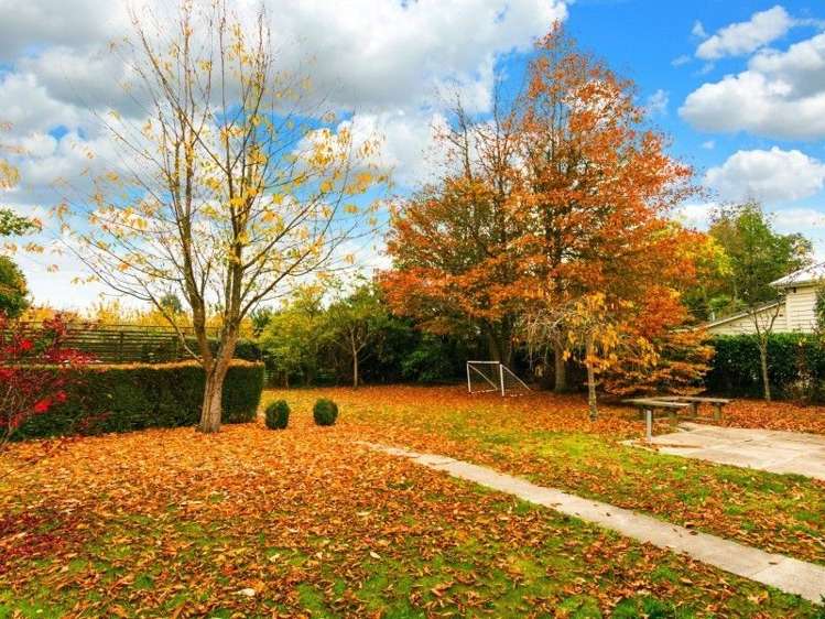 9 Udy Street Greytown_9