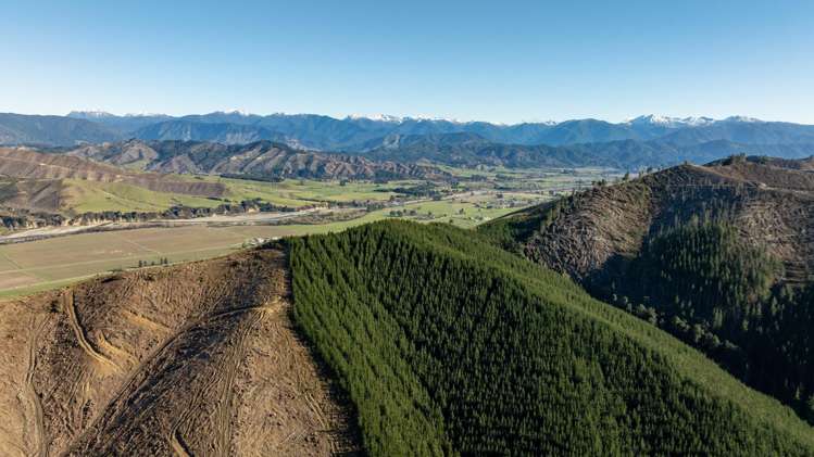 Motueka Valley Highway - Rabbit Gully Motueka Valley_9
