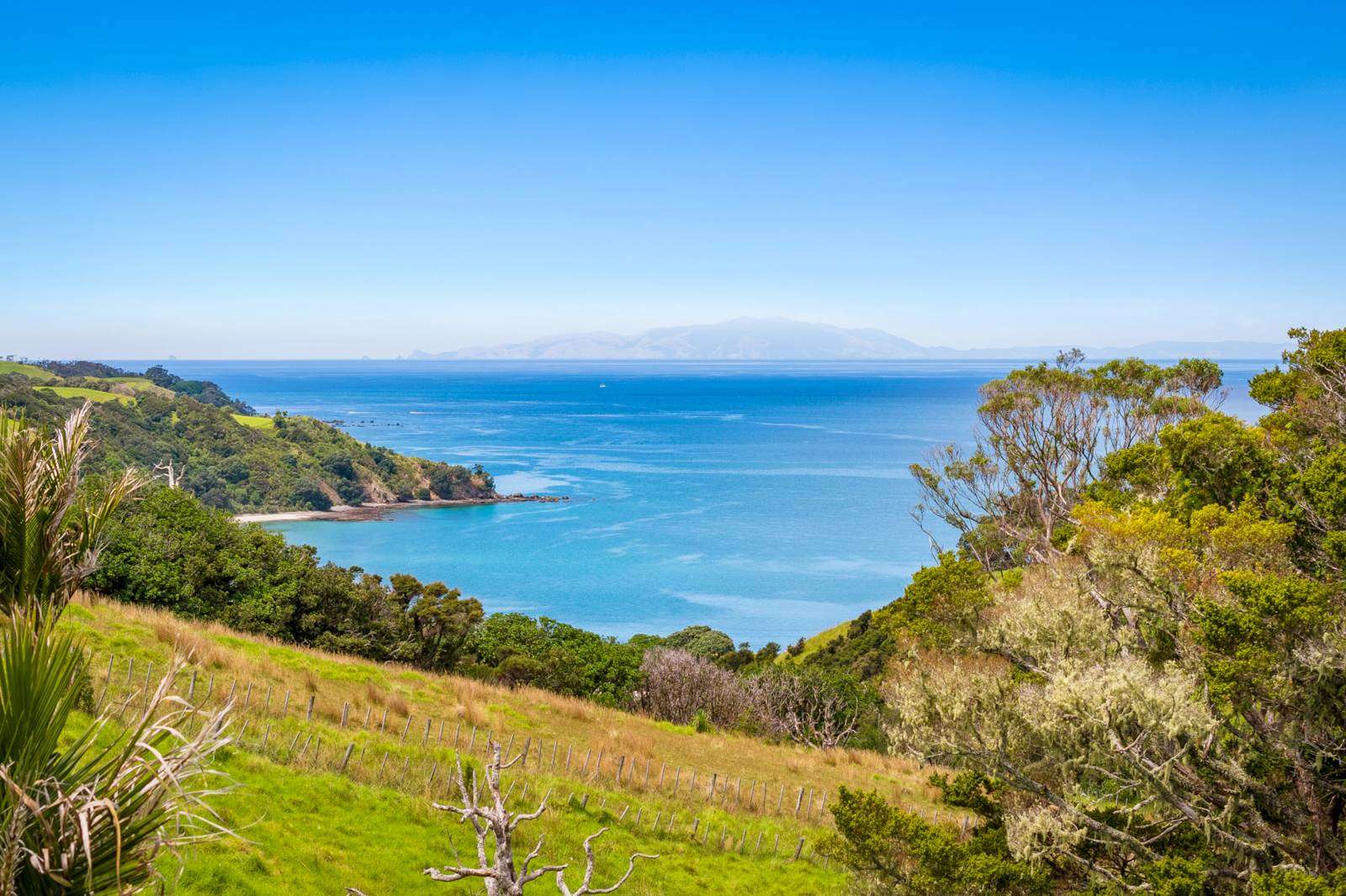 1075 Takatu Road Tawharanui Peninsula Rodney Houses for Sale