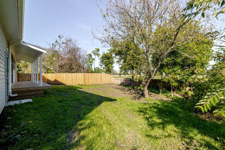 7 Fagan Street Bulls_18