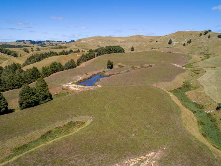 565 Matakitaki Road Glen Murray_8