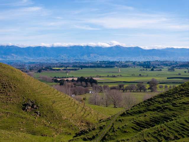 5/546 Masterton Castlepoint Road Masterton_3